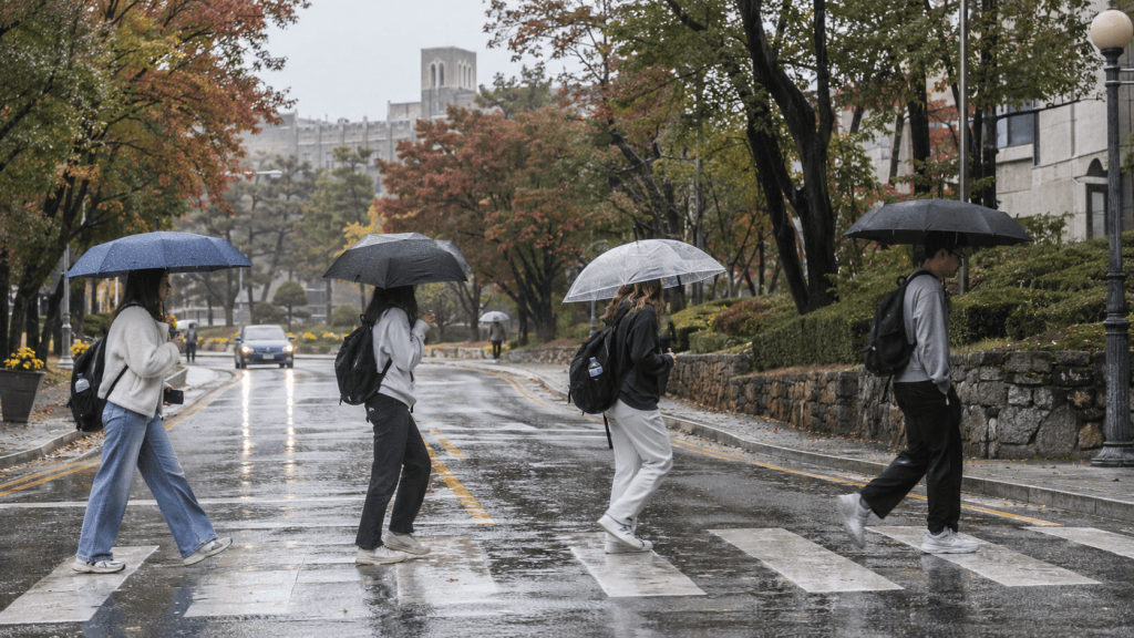 Four individuals crossing a wet street with umbrellas on a rainy day, surrounded by colorful autumn trees.